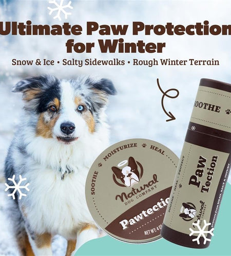 Pawtection Dog Paw Balm, Protects Paws from Hot Surfaces, Sand, Salt, & Snow, Organic, All Natural Ingredients
