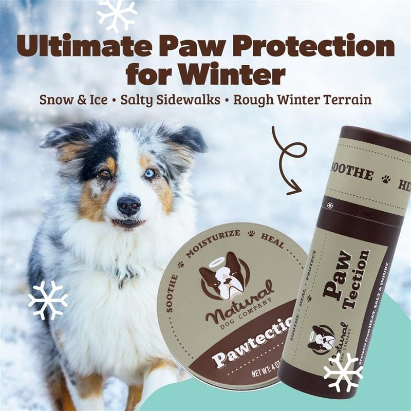 Pawtection Dog Paw Balm, Protects Paws from Hot Surfaces, Sand, Salt, & Snow, Organic, All Natural Ingredients