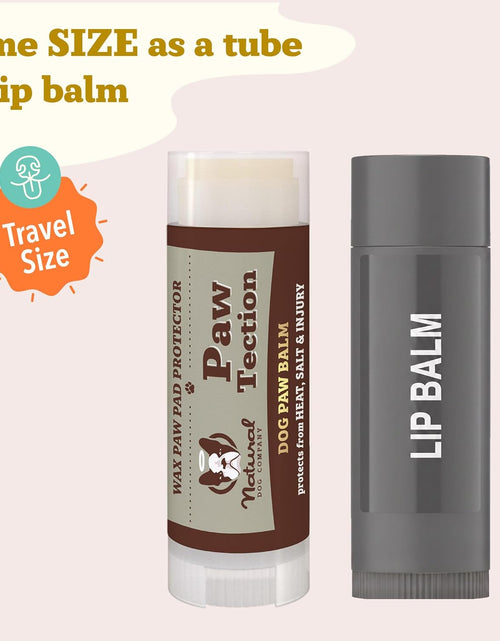 Load image into Gallery viewer, Pawtection Dog Paw Balm, Protects Paws from Hot Surfaces, Sand, Salt, &amp; Snow, Organic, All Natural Ingredients
