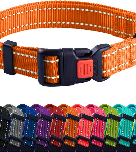 Reflective Dog Collar for a Small, Medium, Large Dog or Puppy with a Quick Release Buckle - Boy and Girl - Nylon Suitable for Swimming (10-13 Inch, Orange)